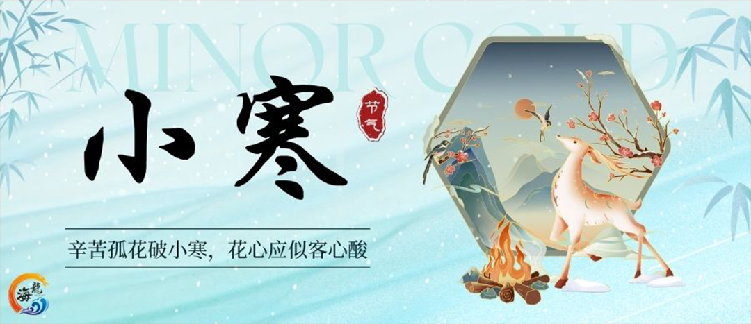 今日小寒
